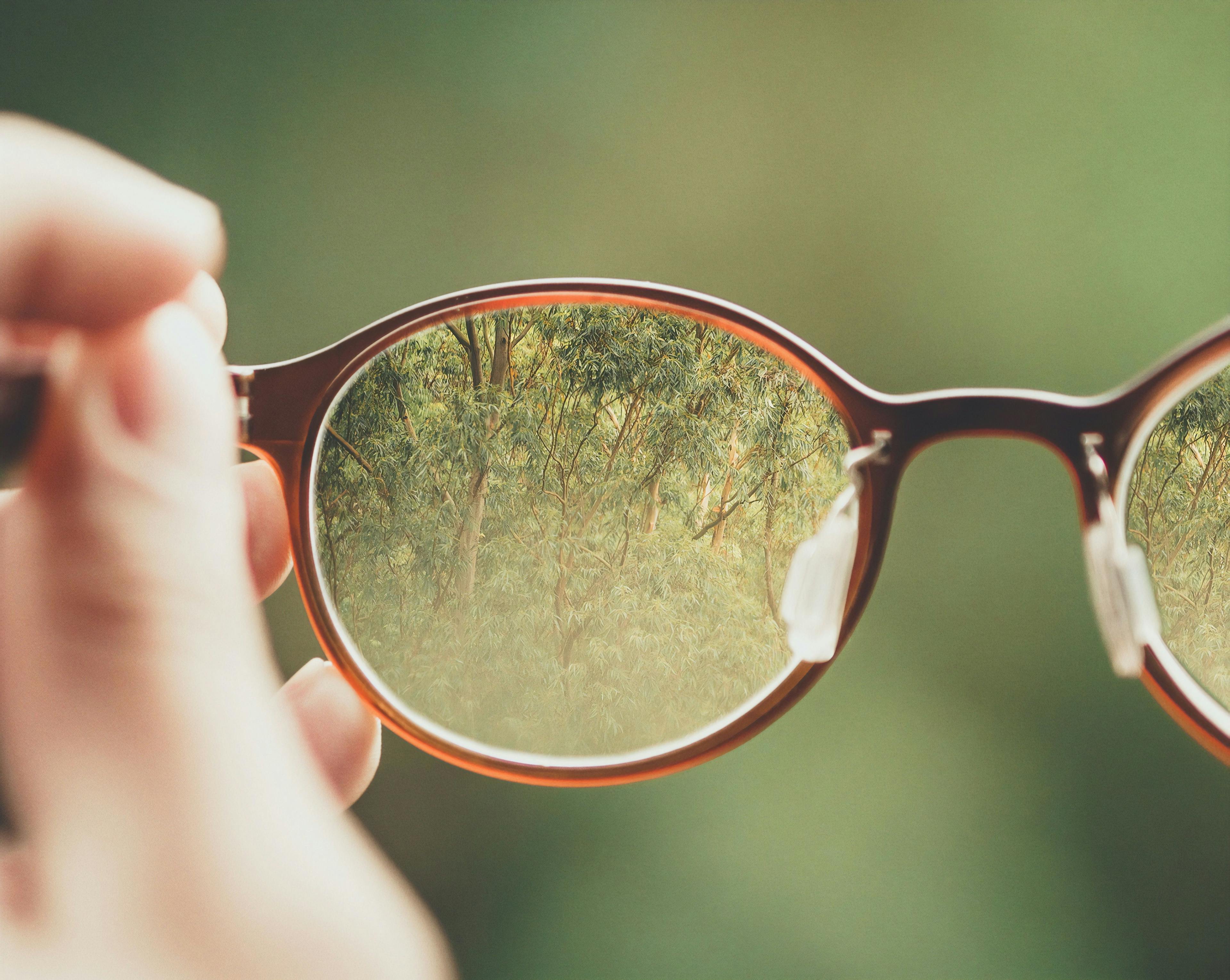 Glasses with an image of trees in focus within the frame.